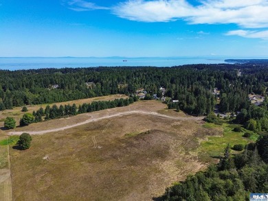 Set in the peaceful Agnew community between Sequim and Port - photo 29