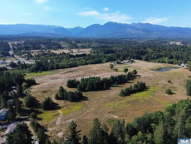 Set in the peaceful Agnew community between Sequim and Port - photo 30