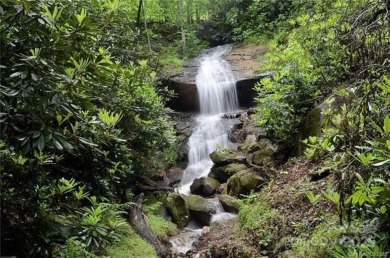 Lake Acreage For Sale in Lake Lure, North Carolina