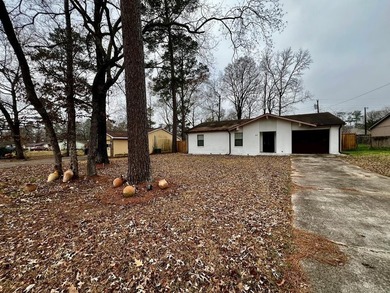 Charming 3BR/2B home with an open concept living area, cozy - photo 2