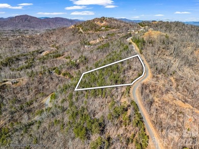 HUGE PRICE IMPROVEMENT!! CHECK OUT THIS BEAUTIFUL, OVER 4.5 ACRE - photo 33