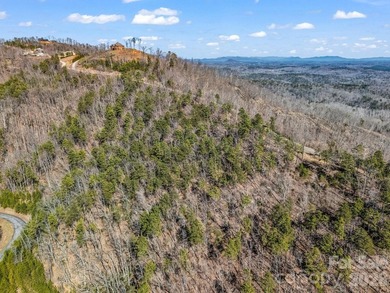 HUGE PRICE IMPROVEMENT!! CHECK OUT THIS BEAUTIFUL, OVER 4.5 ACRE - photo 36