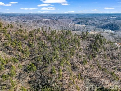 HUGE PRICE IMPROVEMENT!! CHECK OUT THIS BEAUTIFUL, OVER 4.5 ACRE - photo 37