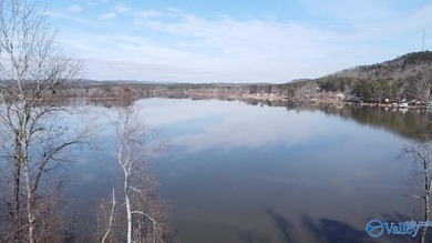 Welcome to the Crow's Nest! Incredible views of Weiss Lake await - photo 9