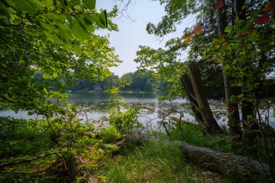 Up North Lakefront Property on naturally beautiful Thunder Lake - Lake Lot For Sale in Fountain, Michigan
