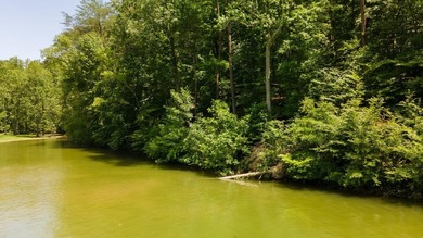 Rare opportunity on Douglas Lake-6.1 Unrestricted Acres! Imagine - photo 2