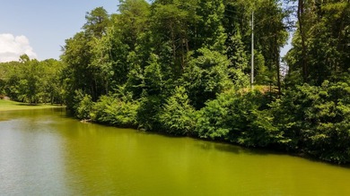 Rare opportunity on Douglas Lake-6.1 Unrestricted Acres! Imagine - photo 3