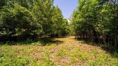 Rare opportunity on Douglas Lake-6.1 Unrestricted Acres! Imagine - photo 5