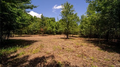 Rare opportunity on Douglas Lake-6.1 Unrestricted Acres! Imagine - photo 6
