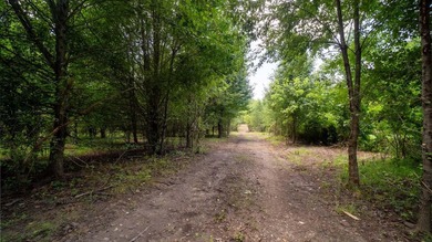 Rare opportunity on Douglas Lake-6.1 Unrestricted Acres! Imagine - photo 7