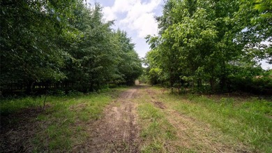 Rare opportunity on Douglas Lake-6.1 Unrestricted Acres! Imagine - photo 8