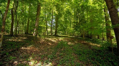 Rare opportunity on Douglas Lake-6.1 Unrestricted Acres! Imagine - photo 10