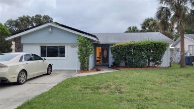 Lake Home For Sale in Dunedin, Florida