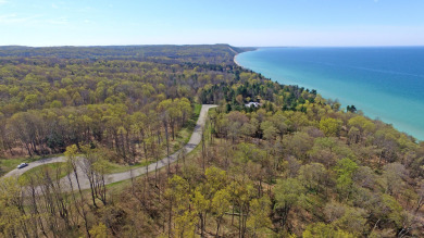 Lake Michigan - Manistee County Lot For Sale in Bear Lake Michigan