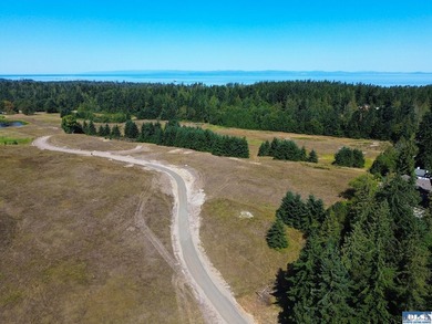 Nestled in the heart of the desirable Agnew area between Sequim - photo 11