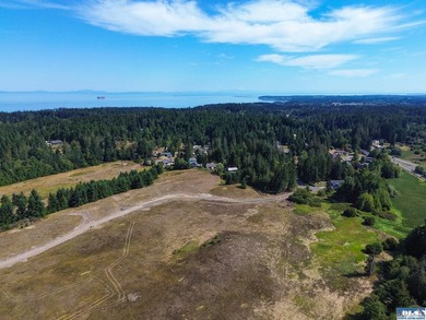 Nestled in the heart of the desirable Agnew area between Sequim - photo 12