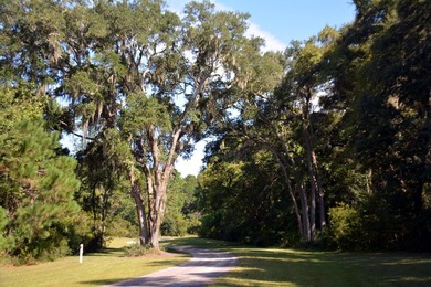Outstanding Country lot lot with plenty of privacy and over 1 - photo 13