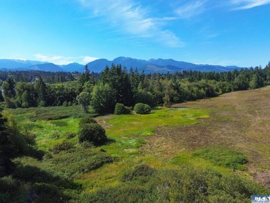 Nestled in the heart of the desirable Agnew area between Sequim - photo 13