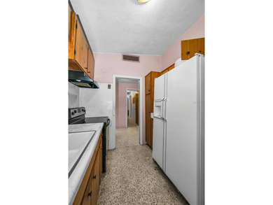 **HANDYMAN SPECIAL WITH INCREDIBLE POTENTIAL IN THE HEART OF - photo 14