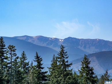 Nestled in the heart of the desirable Agnew area between Sequim - photo 14