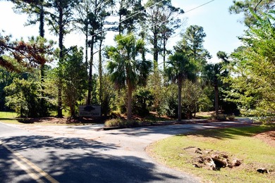 Outstanding Country lot lot with plenty of privacy and over 1 - photo 15