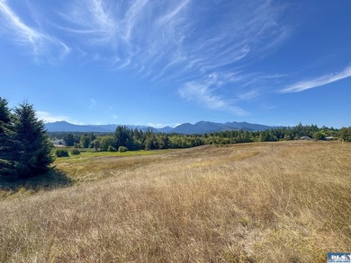 Nestled in the heart of the desirable Agnew area between Sequim - photo 15