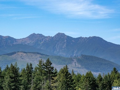 Nestled in the heart of the desirable Agnew area between Sequim - photo 16