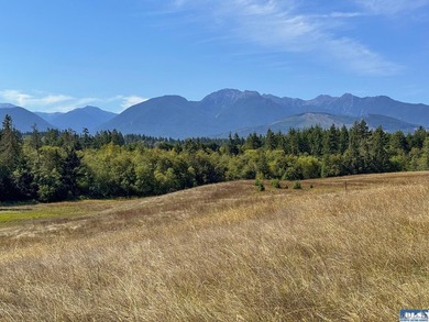 Nestled in the heart of the desirable Agnew area between Sequim - photo 17