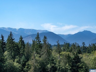 Nestled in the heart of the desirable Agnew area between Sequim - photo 18