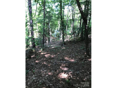 Beautiful homesite with approximately 120' 'feet of waterfront - photo 9