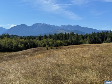 Nestled in the heart of the desirable Agnew area between Sequim - photo 19