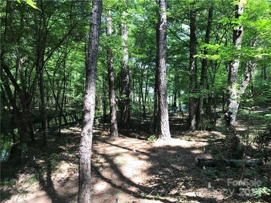 Beautiful homesite with approximately 120' 'feet of waterfront - photo 10