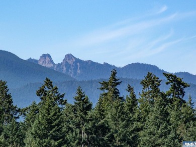 Nestled in the heart of the desirable Agnew area between Sequim - photo 20