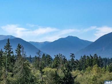 Nestled in the heart of the desirable Agnew area between Sequim - photo 21