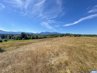 Nestled in the heart of the desirable Agnew area between Sequim - photo 22