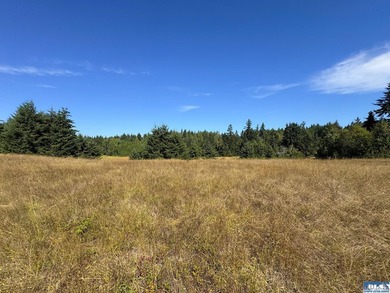 Nestled in the heart of the desirable Agnew area between Sequim - photo 23