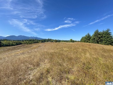 Nestled in the heart of the desirable Agnew area between Sequim - photo 24