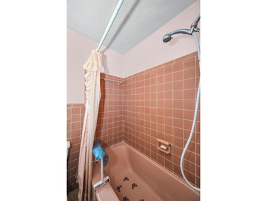**HANDYMAN SPECIAL WITH INCREDIBLE POTENTIAL IN THE HEART OF - photo 25