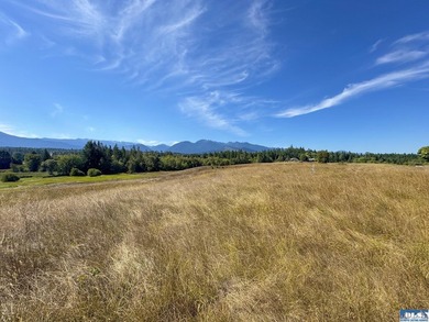 Nestled in the heart of the desirable Agnew area between Sequim - photo 26