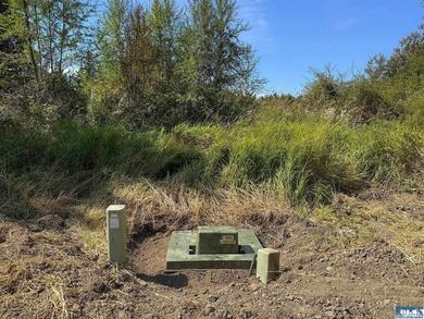 Nestled in the heart of the desirable Agnew area between Sequim - photo 30