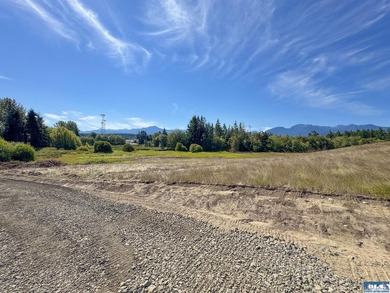 Nestled in the heart of the desirable Agnew area between Sequim - photo 31