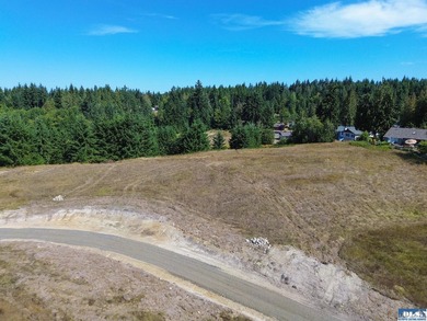 Nestled in the heart of the desirable Agnew area between Sequim - photo 32