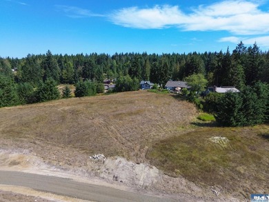 Nestled in the heart of the desirable Agnew area between Sequim - photo 33