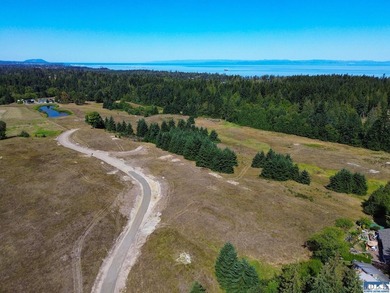 Nestled in the heart of the desirable Agnew area between Sequim - photo 34