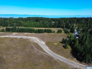 Nestled in the heart of the desirable Agnew area between Sequim - photo 35