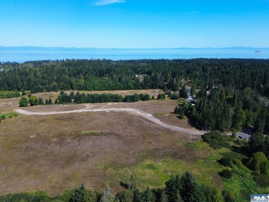Nestled in the heart of the desirable Agnew area between Sequim - photo 36
