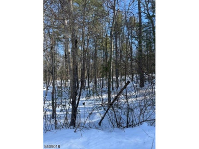 (private lake, pond, coastal) Lot For Sale in Sandyston Township New Jersey