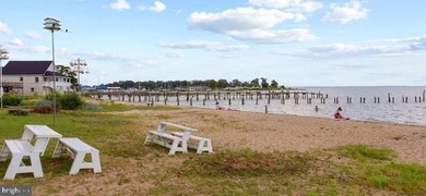 The Monroe Model by Hamlet Homes in the highly sought after - photo 50
