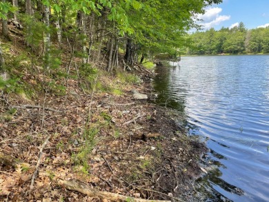 Lake Lot For Sale in Eagle River, Wisconsin