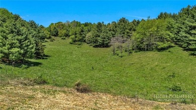 Rare 28-Acre Mountain Estate in Southern Ashe County - photo 12